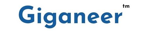 Giganeer ltd